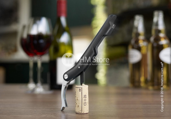 Подарочный набор кухонного инвентаря Joseph Joseph Entertainer Gift Set, 2 предмета