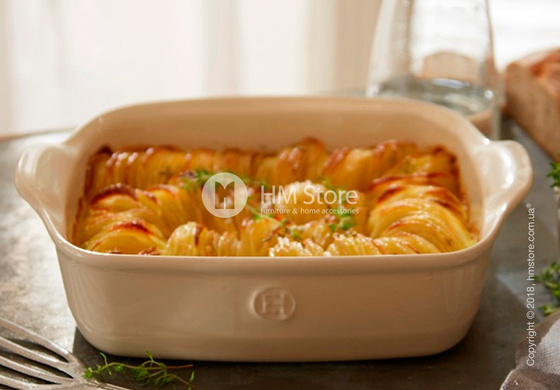 Форма для выпечки прямоугольная 29 х 19 см Emile Henry Ovenware, Clay