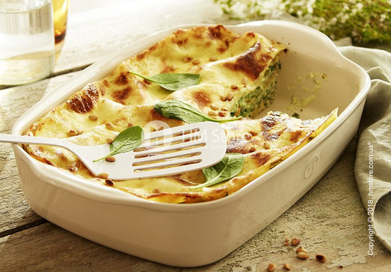 Форма для выпечки прямоугольная 28 х 23 см Emile Henry Ovenware, Clay