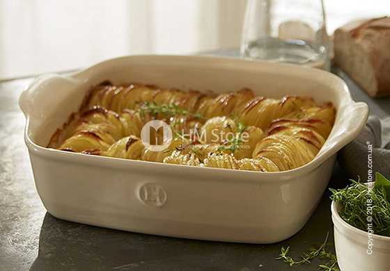 Форма для выпечки прямоугольная 28 х 23 см Emile Henry Ovenware, Clay