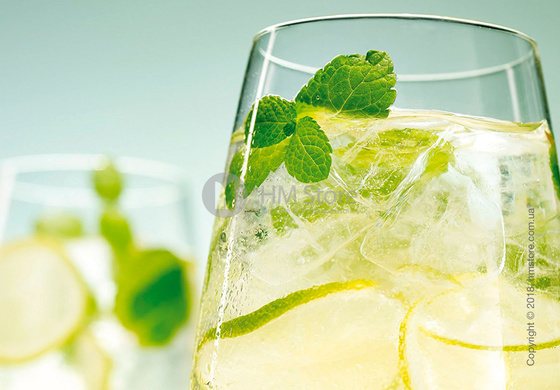 Набор бокалов для коктейлей Schott Zwiesel Summer Feeling 497 мл на 2 персоны