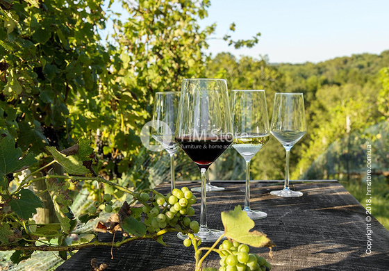 Набор бокалов для красного вина Bordeaux Schott Zwiesel Pure 680 мл на 6 персон