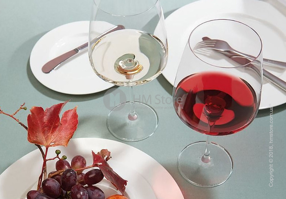 Набор бокалов для красного вина Fruity & Delicate Schott Zwiesel Sensa 535 мл на 6 персон 