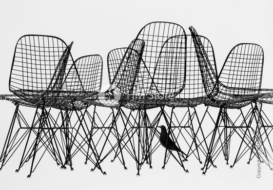 Статуэтка Vitra Eames House Bird, Black