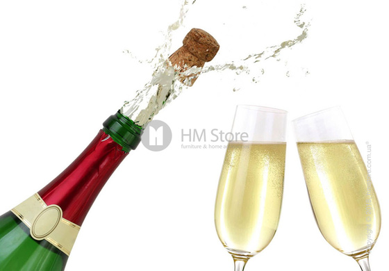 Набор бокалов для шампанского Schott Zwiesel Ivento 228 мл на 6 персон