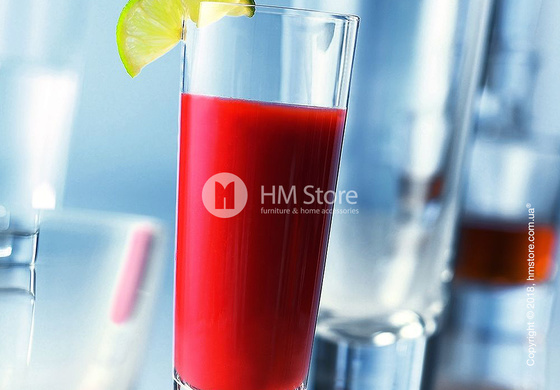 Набор стаканов Schott Zwiesel Tossa 571 мл на 6 персон