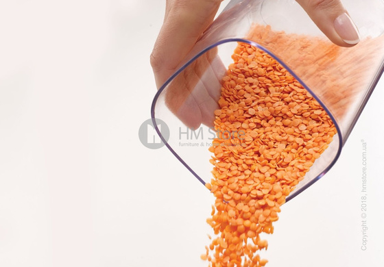 Набор емкостей на подставке Joseph Joseph Podium 3 предмета, Grey