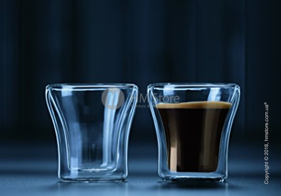 Набор термостаканов Bodum Assam 90 мл, на 2 персоны