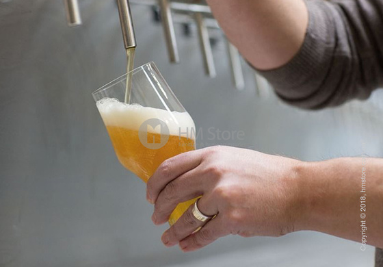 Набор бокалов для пива Wheat Beer Schott Zwiesel Beer Basic Craft 543 мл на 6 персон