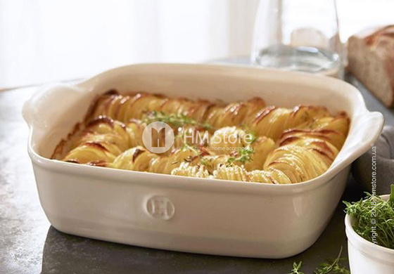 Набор форм для запекания 22 x 14 см Emile Henry Les secrets D'Emile, 2 предмета, Clay