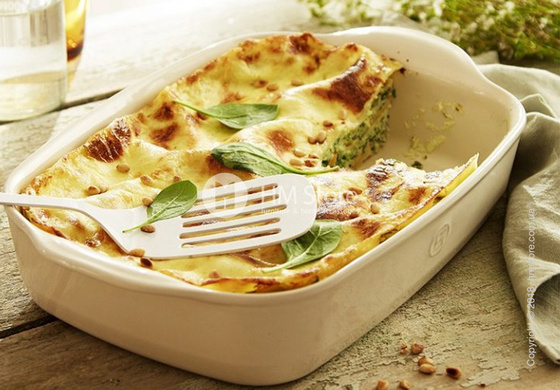 Набор форм для запекания 22 x 14 см Emile Henry Les secrets D'Emile, 2 предмета, Silex