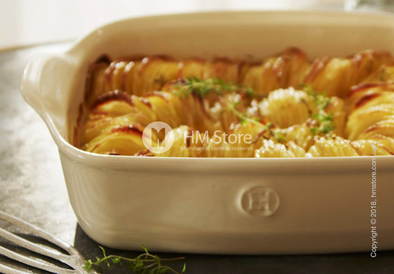 Набор форм для запекания 22 x 14 см Emile Henry Les secrets D'Emile, 2 предмета, Silex