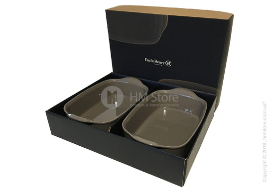 Набор форм для запекания 22 x 14 см Emile Henry Les secrets D'Emile, 2 предмета, Silex