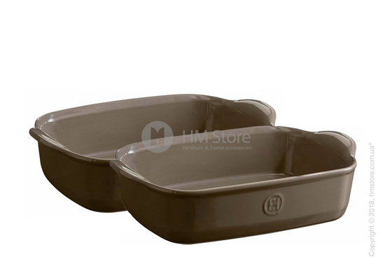 Набор форм для запекания 22 x 14 см Emile Henry Les secrets D'Emile, 2 предмета, Silex