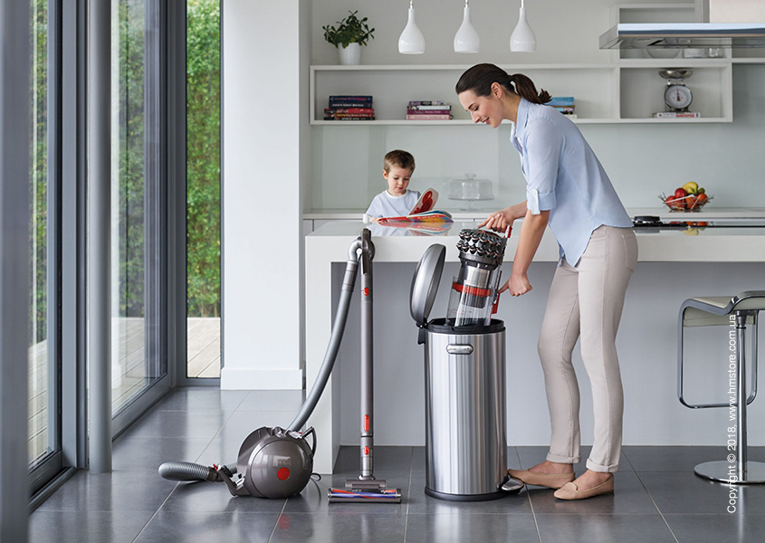 Пылесос Dyson Cinetic Big Ball Animalpro